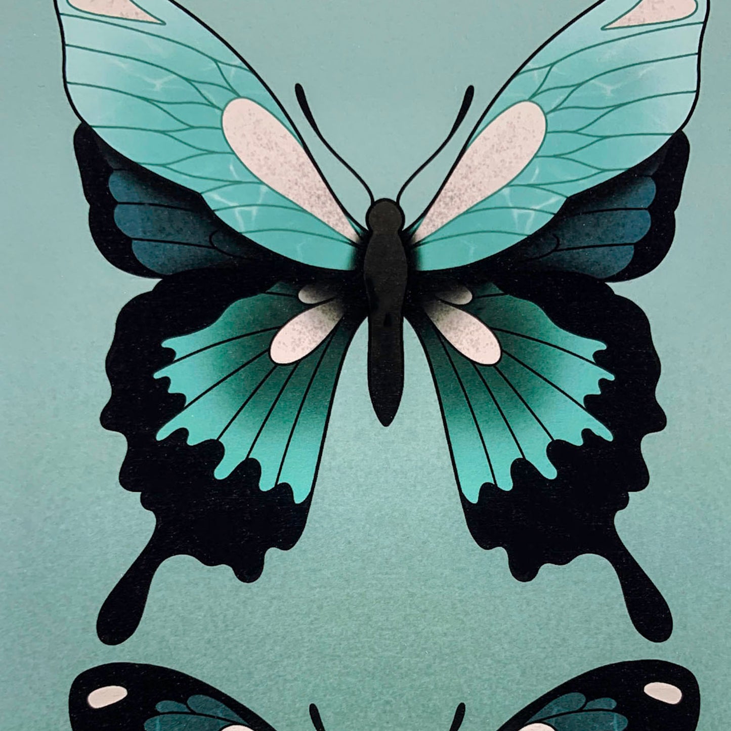Butterflies -Tropical Teal