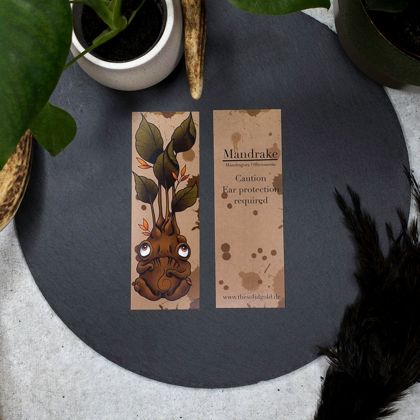 Mandrake - Bookmark